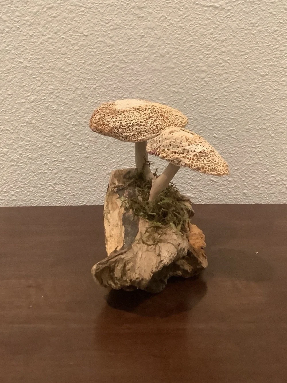 Driftwood Art, Driftwood & Seashell Mushrooms, Seashell Mushroom Art, Coastal